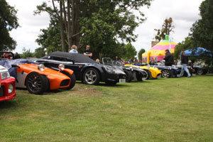 Line up of cars