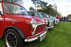 Line up of Minis
