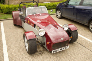 Giles Cooper's Tiger Cat