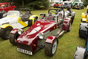 Giles Cooper's Tiger Cat