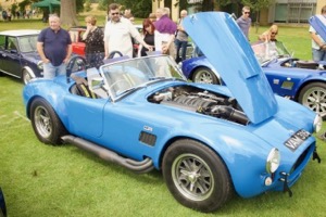 Cobra Replica