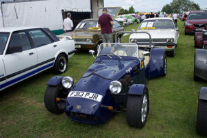 David Fiske's Tiger Cat