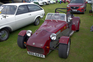 Giles Cooper's Tiger Cat