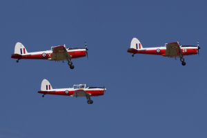 The Red Sparrows