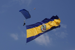 Army Parachute Display Team