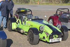 Stan Burton's Tiger Cat