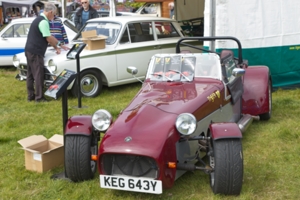 Giles Cooper's Tiger Cat