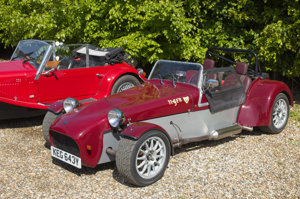 Giles Cooper's Tiger Cat