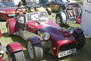 Giles Cooper's Tiger Cat