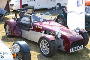 Giles Cooper's Tiger Cat