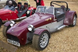 Giles Cooper's Tiger Cat