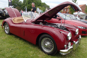 Jaguar XK-120