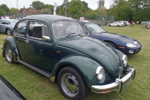 VW Beetle