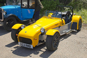 James Pulford's Tiger Cat