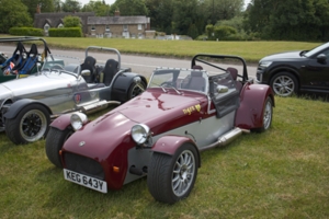 Giles Cooper's Tiger Cat