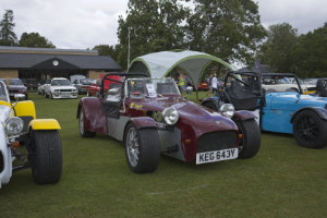 Giles Cooper's Tiger Cat