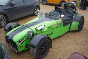 Stan Burton's Tiger Cat