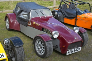 Giles Cooper's Tiger Cat
