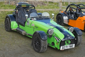 Stan Burton's Tiger Cat