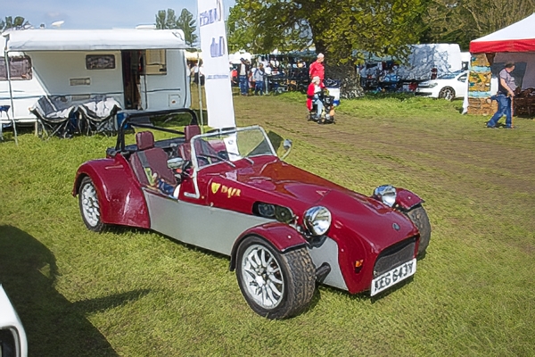 Giles Cooper's Tiger Cat