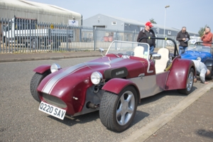 Steve Tuck's Tiger Cat