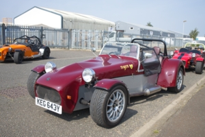 Giles Cooper's Tiger Cat