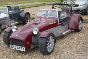 Giles Cooper's Tiger Cat