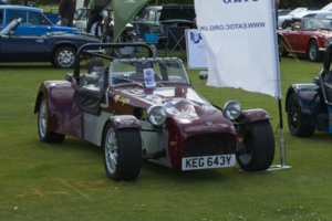 Giles Cooper's Tiger Cat