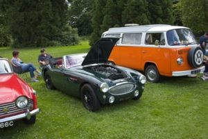 Austin Healey 3000