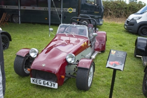 Giles Cooper's Tiger Cat