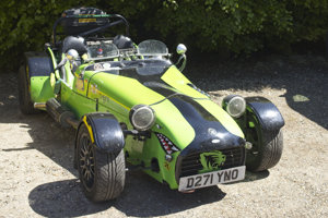 Stan Burton's Tiger Cat