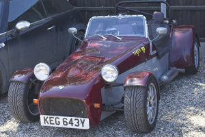 Giles Cooper's Tiger Cat
