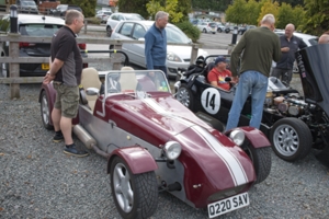 Steve Tuck's Tiger Cat