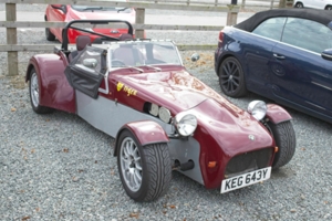 Giles Cooper's Tiger Cat