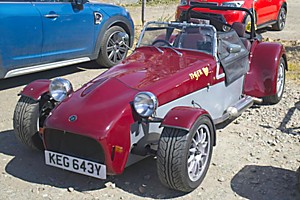 Giles Cooper's Tiger Cat