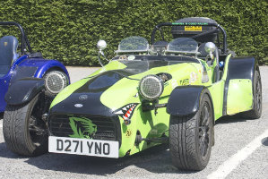 Stan Burton's Tiger Cat