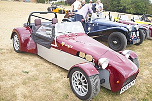 Giles Cooper's Tiger Cat